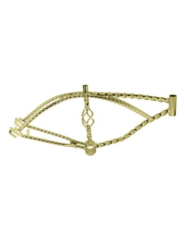 20 Cage Twisted Lowrider Frame Gold.